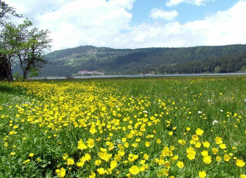 Abant Dort Mevsim Konagi Hotell Bolu Exteriör bild